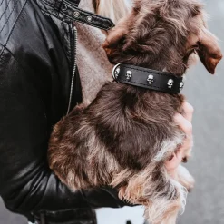 Hunter Tijuana Läderhalsband till Hund