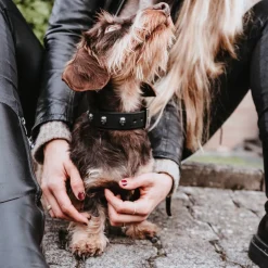 Hunter Tijuana Läderhalsband till Hund