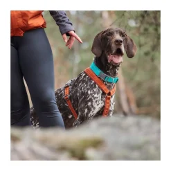 Hurtta Casual ECO Hundhalsband Turkos