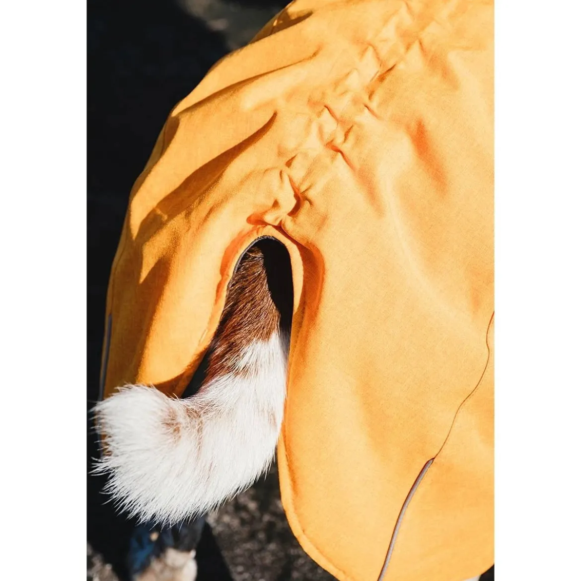 Hurtta Expedition Parka Vintertäcke Orange