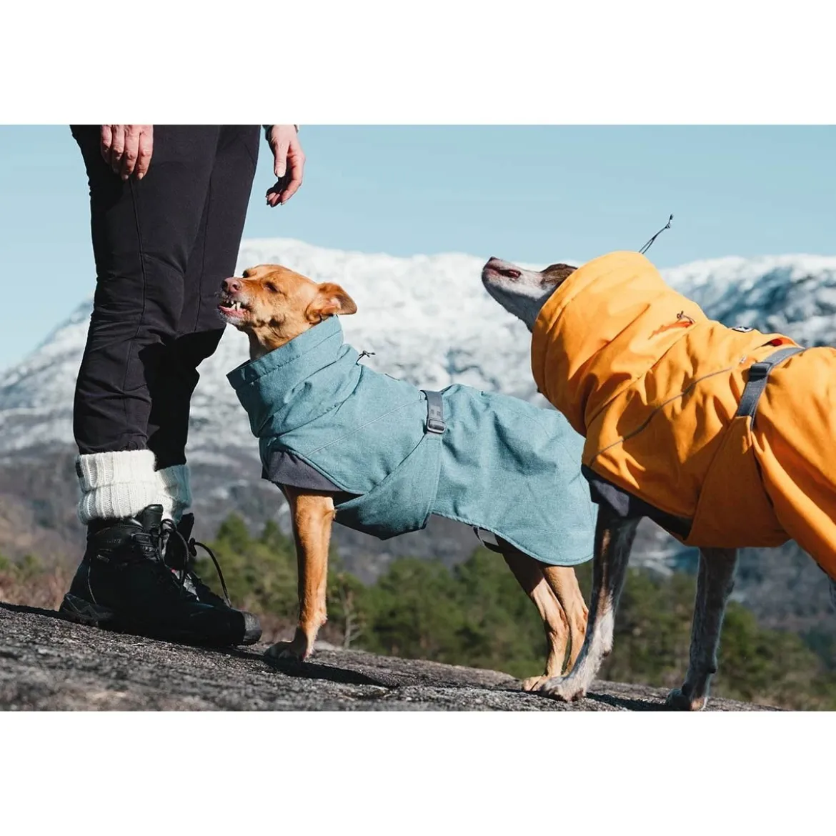 Hurtta Expedition Parka Vintertäcke Orange