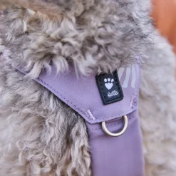 Hurtta Seeker Hundsele Ljuslila