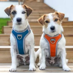 Hurtta Venture No-Pull Hundsele Blå