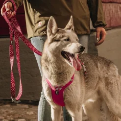 Hurtta Weekend Warrior Hundsele Rosa