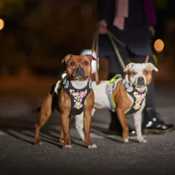Hurtta Weekend Warrior Hundsele Neon & Svart