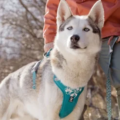 Hurtta Weekend Warrior Hundsele Turkos