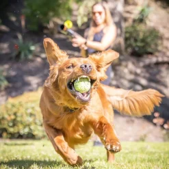 Hyper Pet K9 Kannon (GEN II) Bollkastare