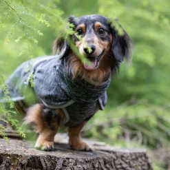 Icepeak Flen Midlayer Hundjacka Svart