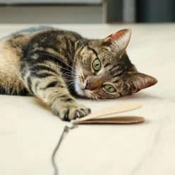 I Love Happy Cats Extra Flärpar till Teleskopisk Kattvippa 3 st