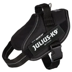 Julius-K9 IDC Sele Svart
