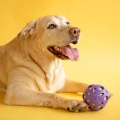 JW Crackle Heads Prasslande Hundboll L