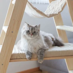 Kerbl Ladder Klätterstege för Katter