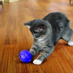 KONG Cat Aktiveringsboll Lila