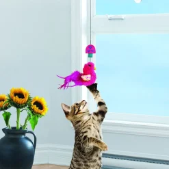 KONG Cat Connects Window Teaser