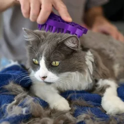 KONG Cat ZoomGroom Kattborste