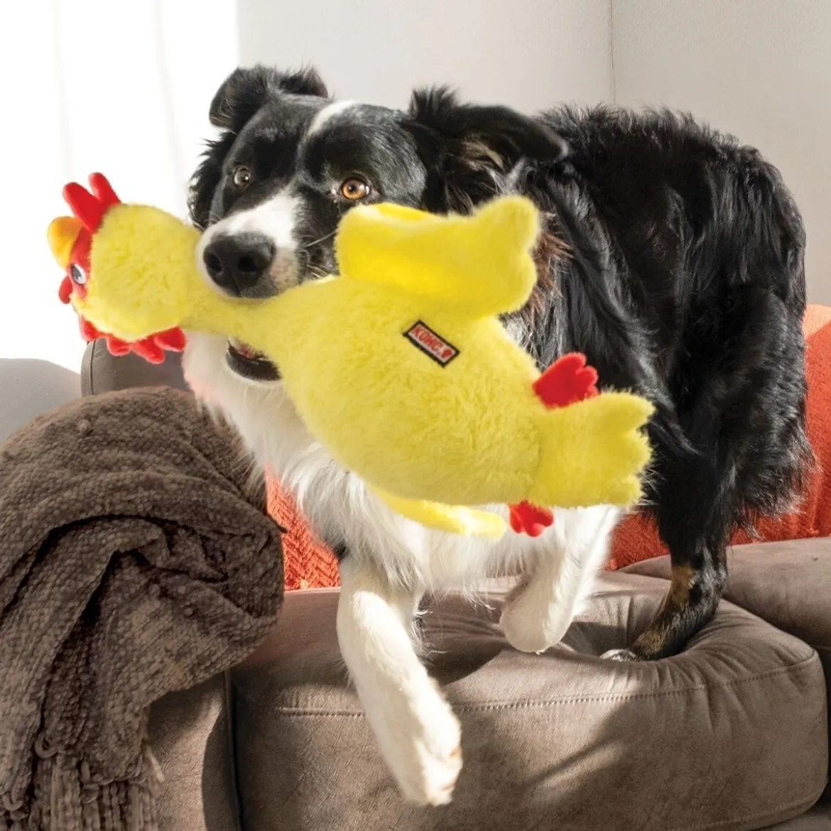 KONG Scruffs Mjukisdjur till Hundmed Pipljud Kyckling M/L