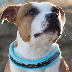 Kusse & Kutta Fluffigt Hundhalsband Ljusblå