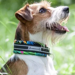 Kusse&Kutta Hundhalsband Bred Modell Tropic