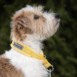 Kusse & Kutta Hundhalsband Gul