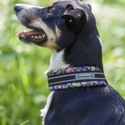 Kusse&Kutta Hundhalsband Lycra Bred Modell Blommor