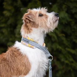 Kusse & Kutta Hundhalsband Rosa/Gul
