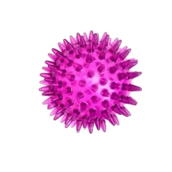 Little&Bigger TPR Piggboll till Hund Lila 6 cm