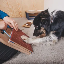 Loype Mani-Pedi Klösbräda till Hund