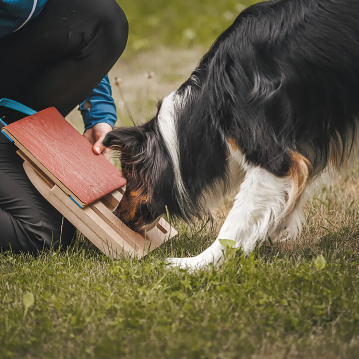 Loype Mani-Pedi Klösbräda till Hund