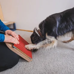 Loype Mani-Pedi Klösbräda till Hund
