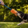 Loype Mopster Dragleksak till Hund