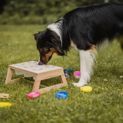 Loype Nosework Sökplattform med Behållare