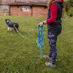 Loype Saxana Spårlina till Hund Blå