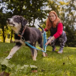 Loype Saxana Spårlina till Hund Blå