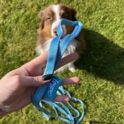 Loype Saxana Spårlina till Hund Blå