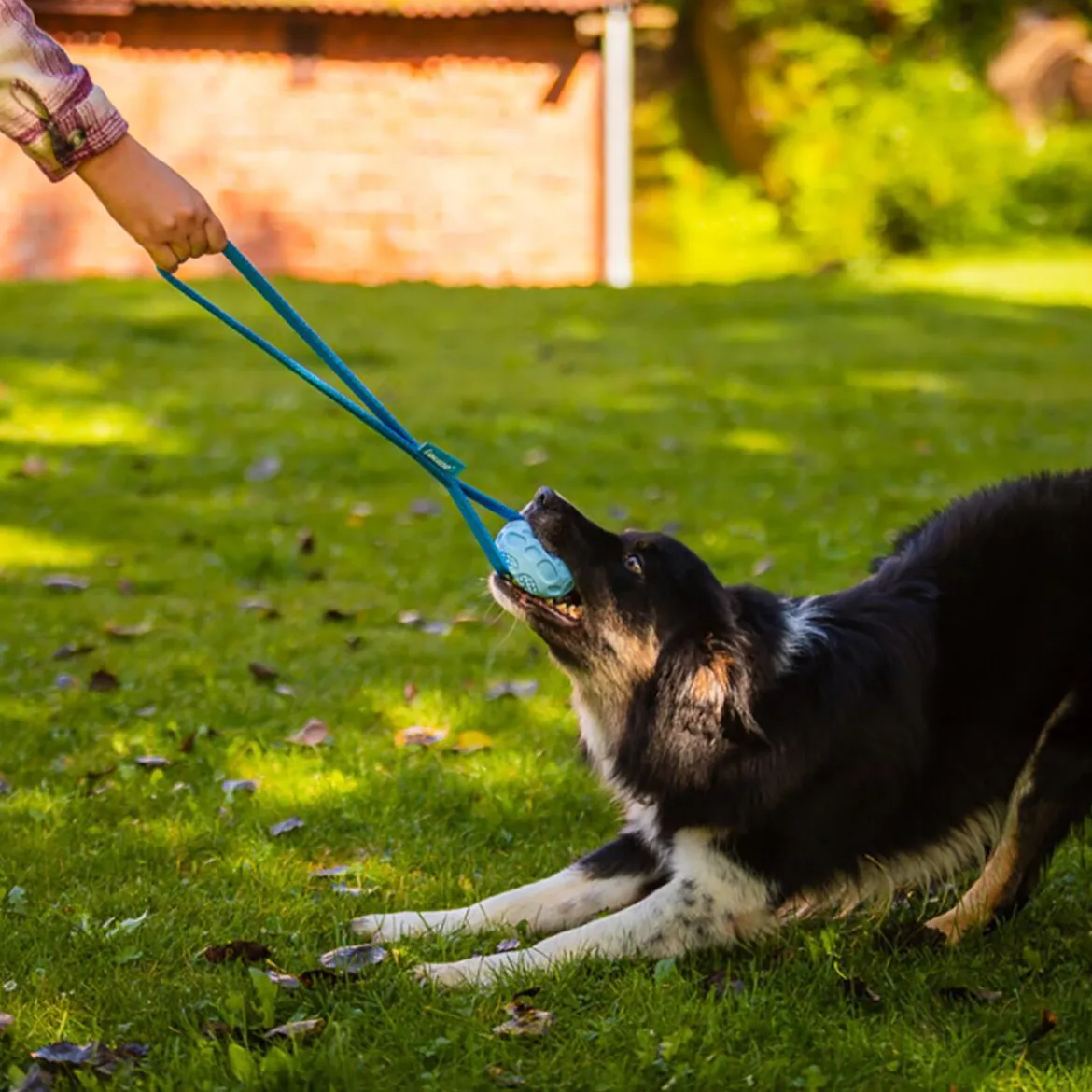 Loype Springster Dragleksak med Boll
