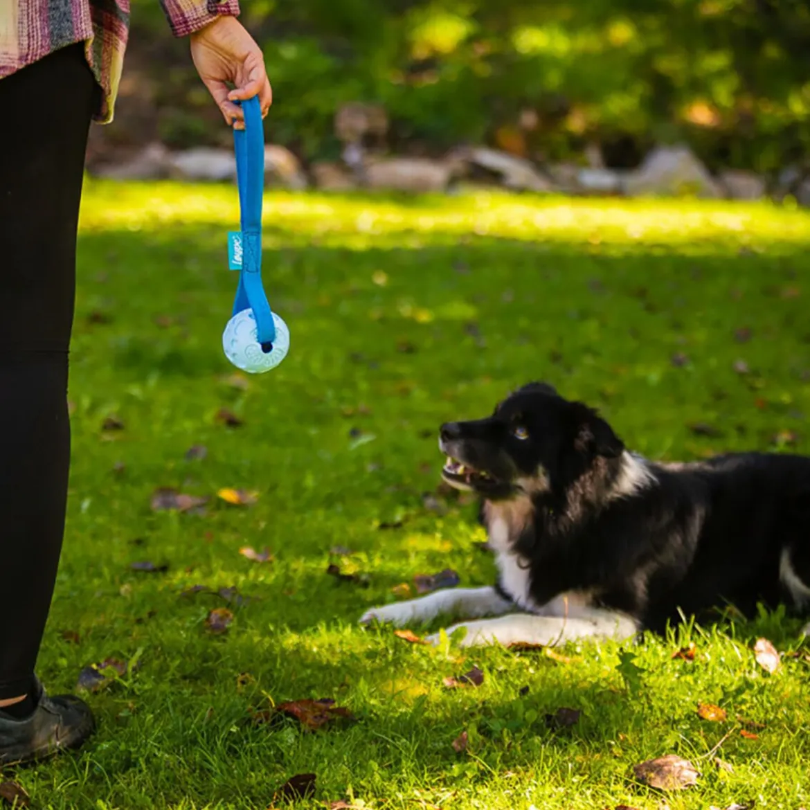 Loype Springster Dragleksak med Boll