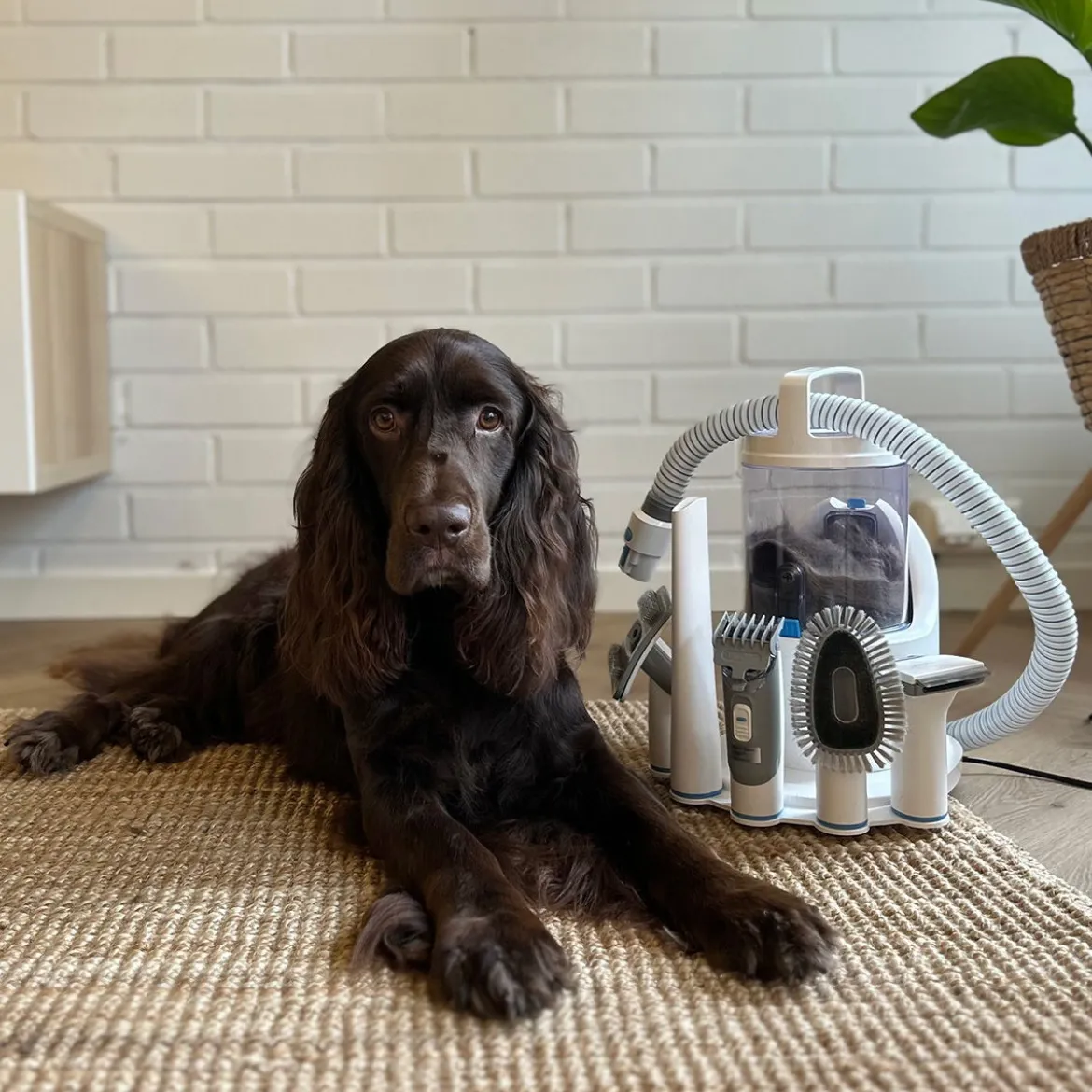 Neakasa P2 Pro Pet Pälsvårdskit