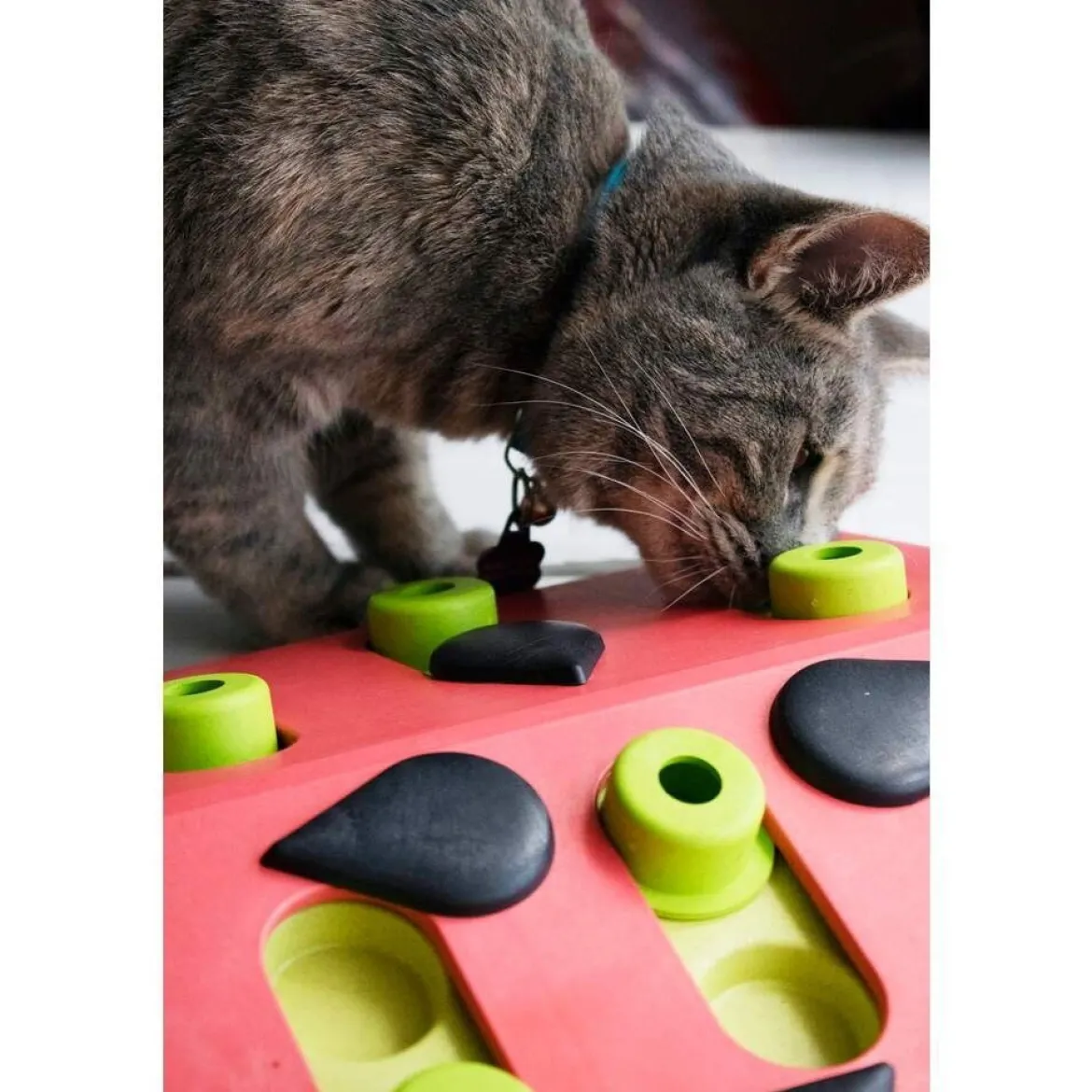 Nina Ottosson Cat Melon Madness Puzzle and Play Röd
