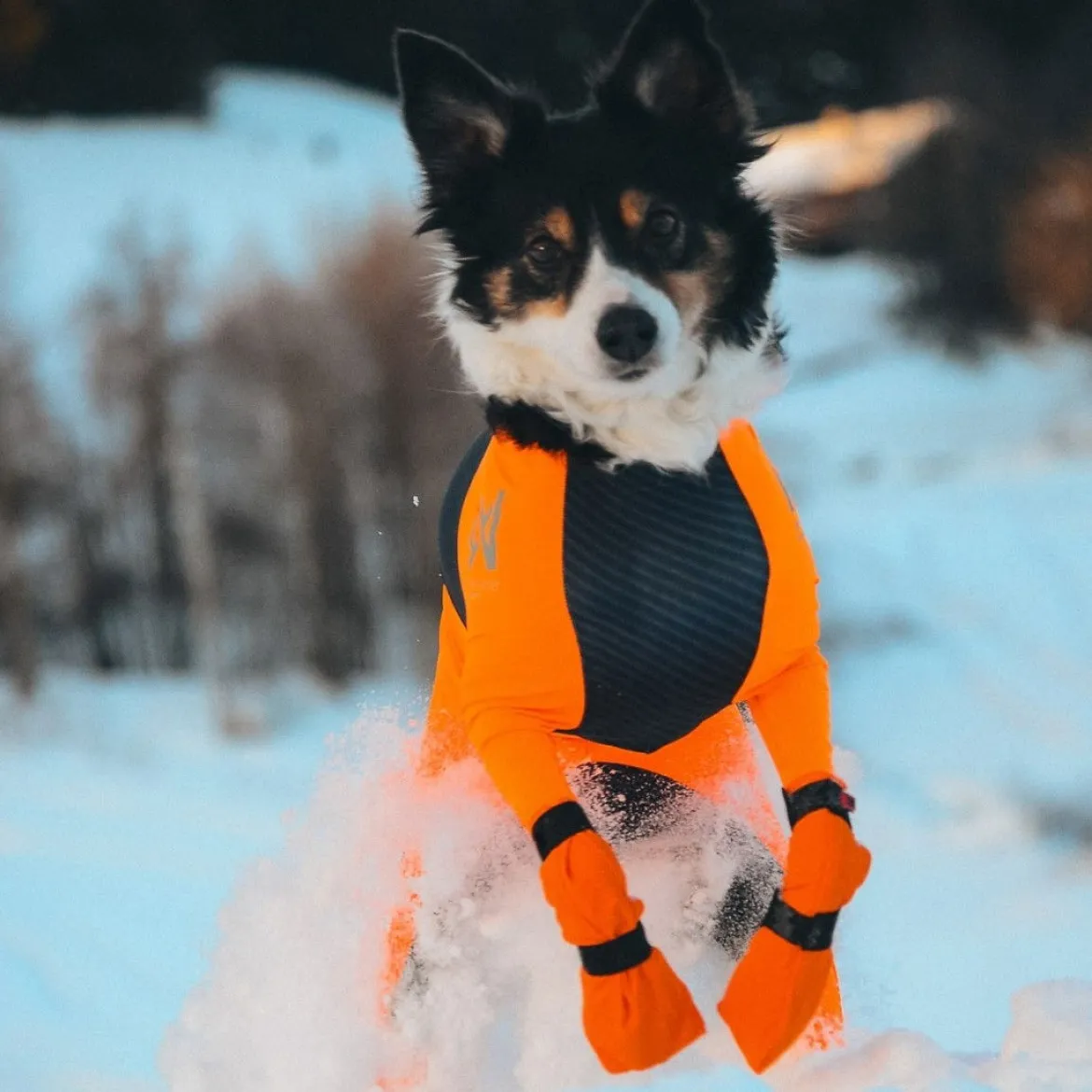 Non-Stop Dogwear Contact Bootie Hög Hundsko 4 st