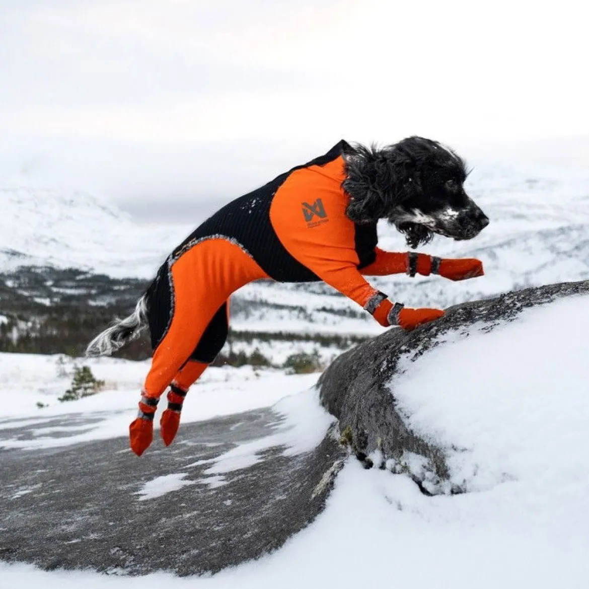 Non-Stop Dogwear Contact Bootie Hög Hundsko 4 st