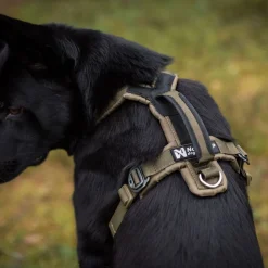 Non-Stop Dogwear Defense Line Grip Hundsele Grön