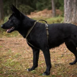 Non-Stop Dogwear Defense Line Grip Hundsele Grön