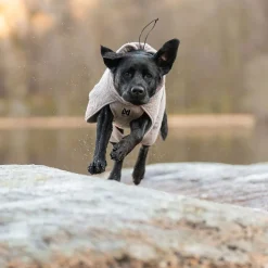 Non-stop Dogwear Drying Badrock till Hund Beige