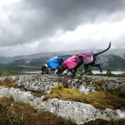 Non-Stop Dogwear Fjord Regnjacka till Hund Lila