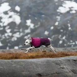 Non-Stop Dogwear Fjord Regnjacka till Hund Lila