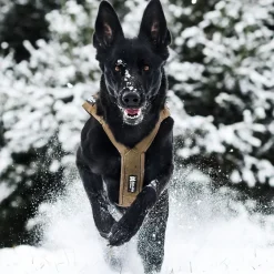 Non-Stop Dogwear Freemotion Defense Dragsele Grön
