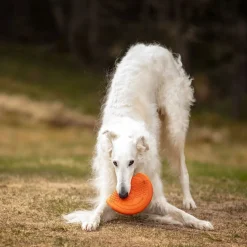 Non-Stop Dogwear Frisbee Orange