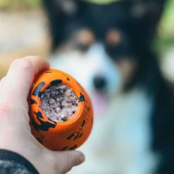 Non-Stop Dogwear Kastleksak till Hund Orange/Svart