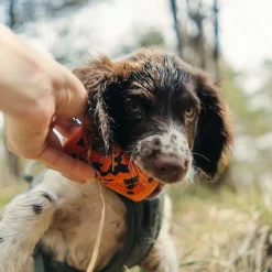 Non-Stop Dogwear Kastleksak till Hund Orange/Svart