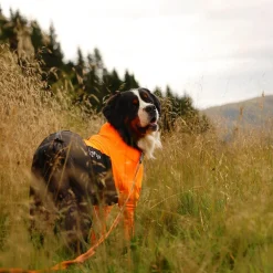 Non-stop Dogwear Protector Hundoverall Tik Svart & Orange